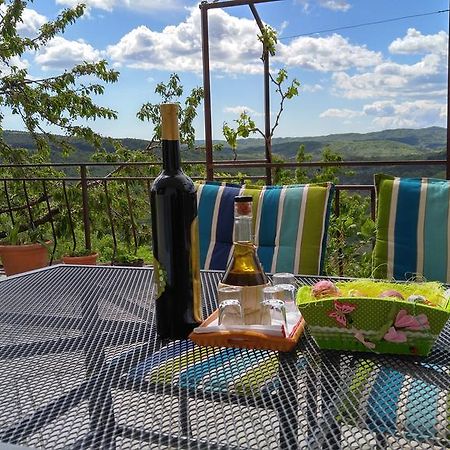 Apartment Fabris Roč エクステリア 写真