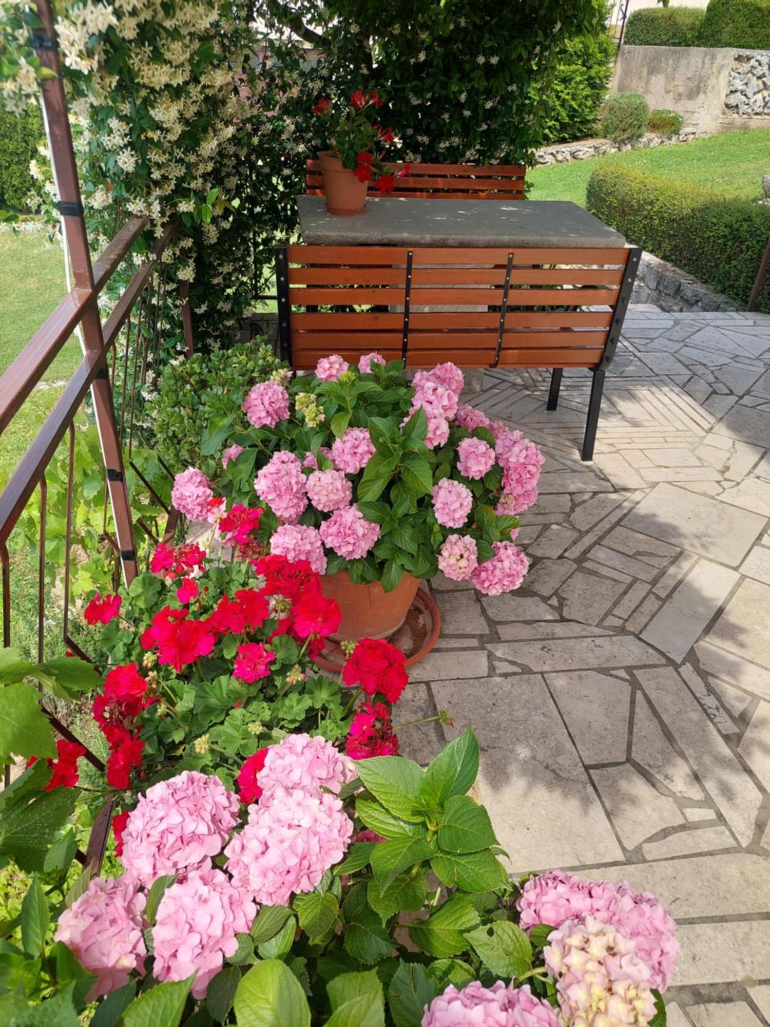 Apartment Fabris Roč エクステリア 写真