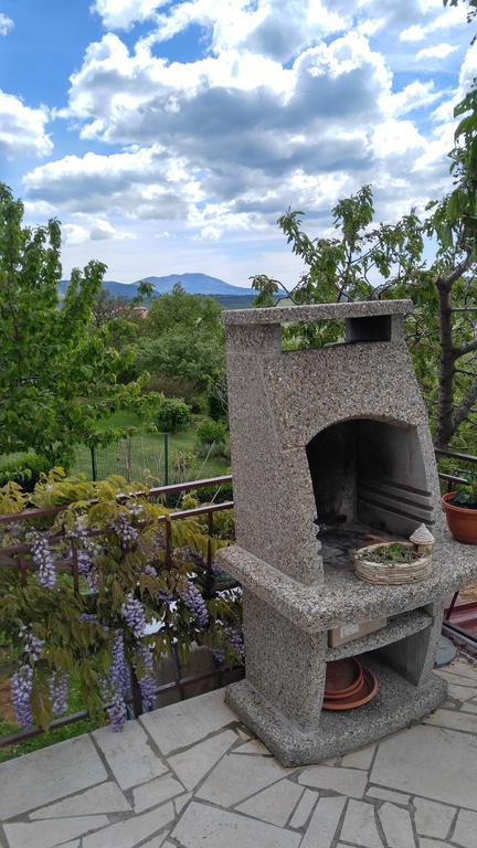 Apartment Fabris Roč エクステリア 写真