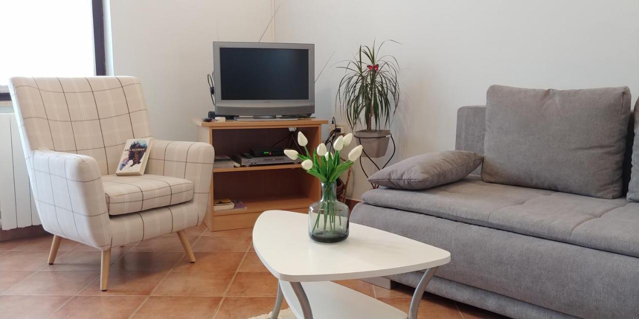 Apartment Fabris Roč エクステリア 写真